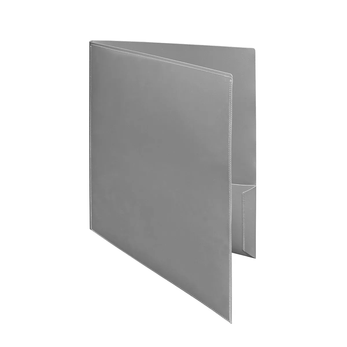 2-Pocket Folder with Clear Outside Pockets (10ct)