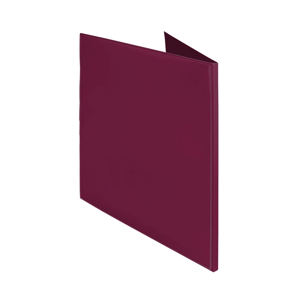 2-Pocket Folder with Clear Outside Pockets (10ct)