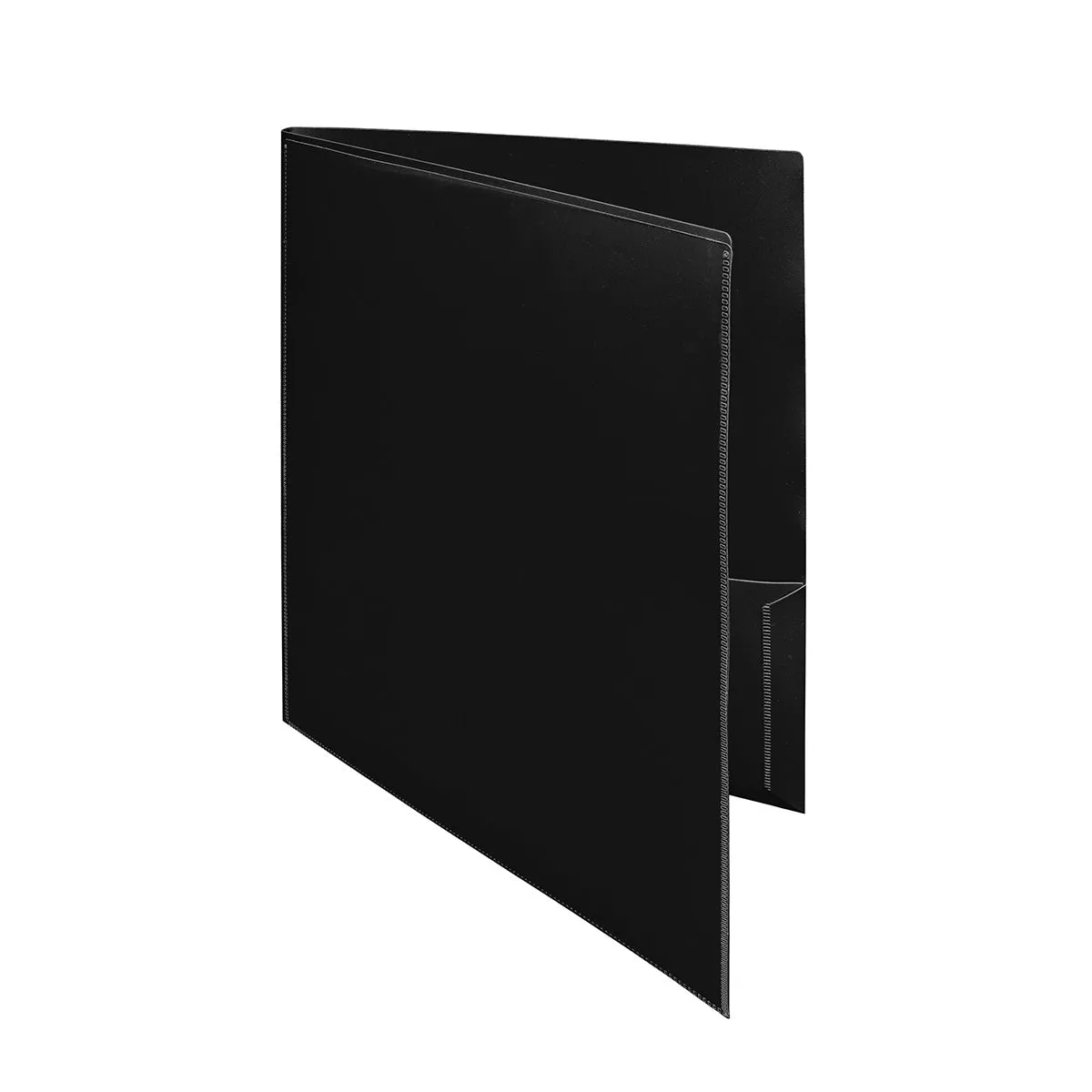 2-Pocket Folder with Clear Outside Pockets (10ct)