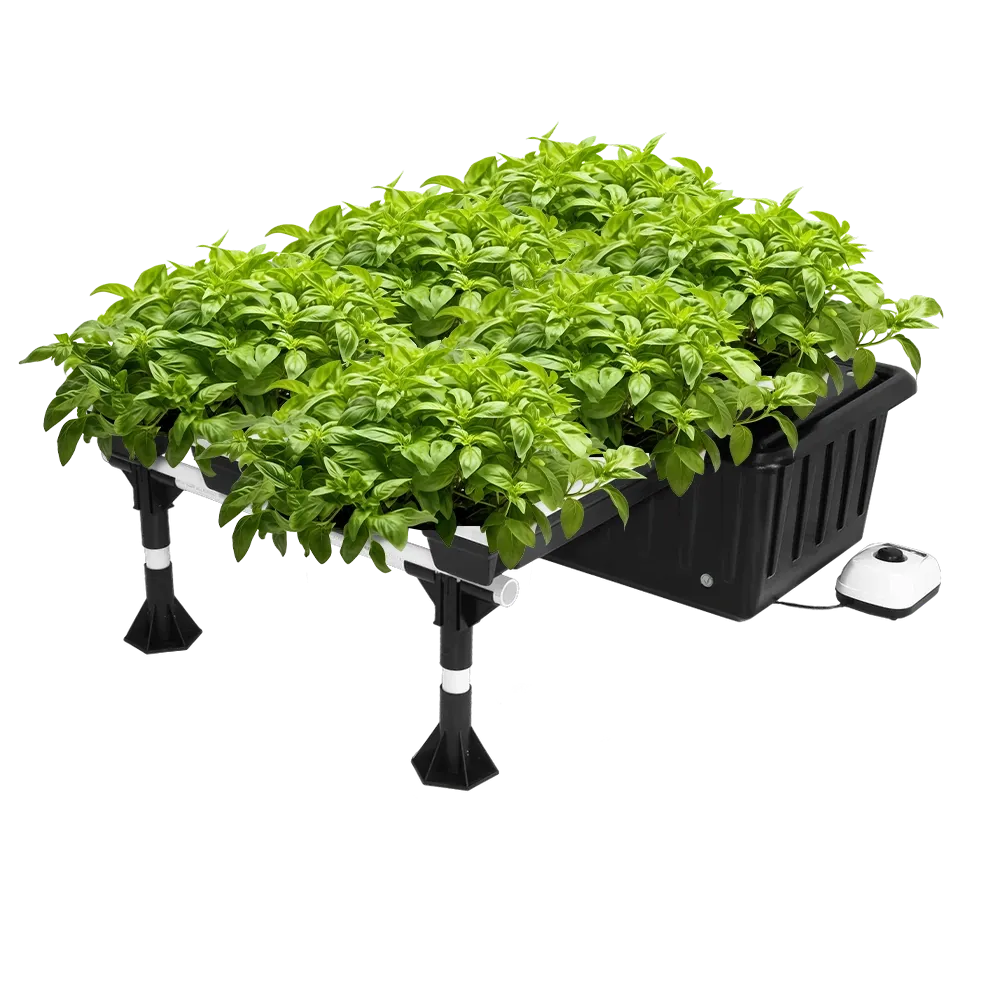 Ebb and Flow Hydroponic System – 20-Site