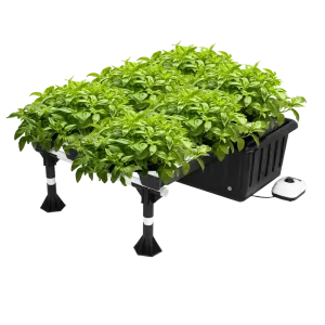 Ebb and Flow Hydroponic System – 20-Site