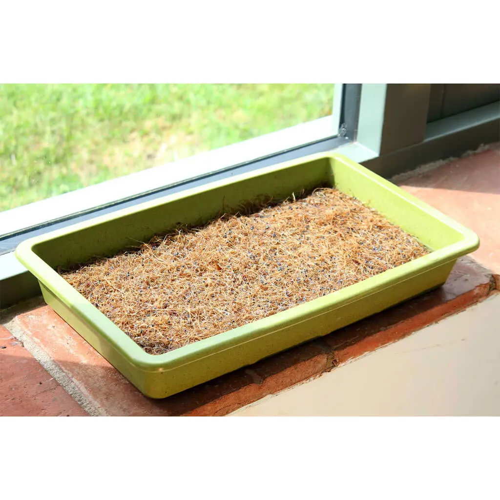 Haxnicks Microgreens Growing Mat (Pack of 3)