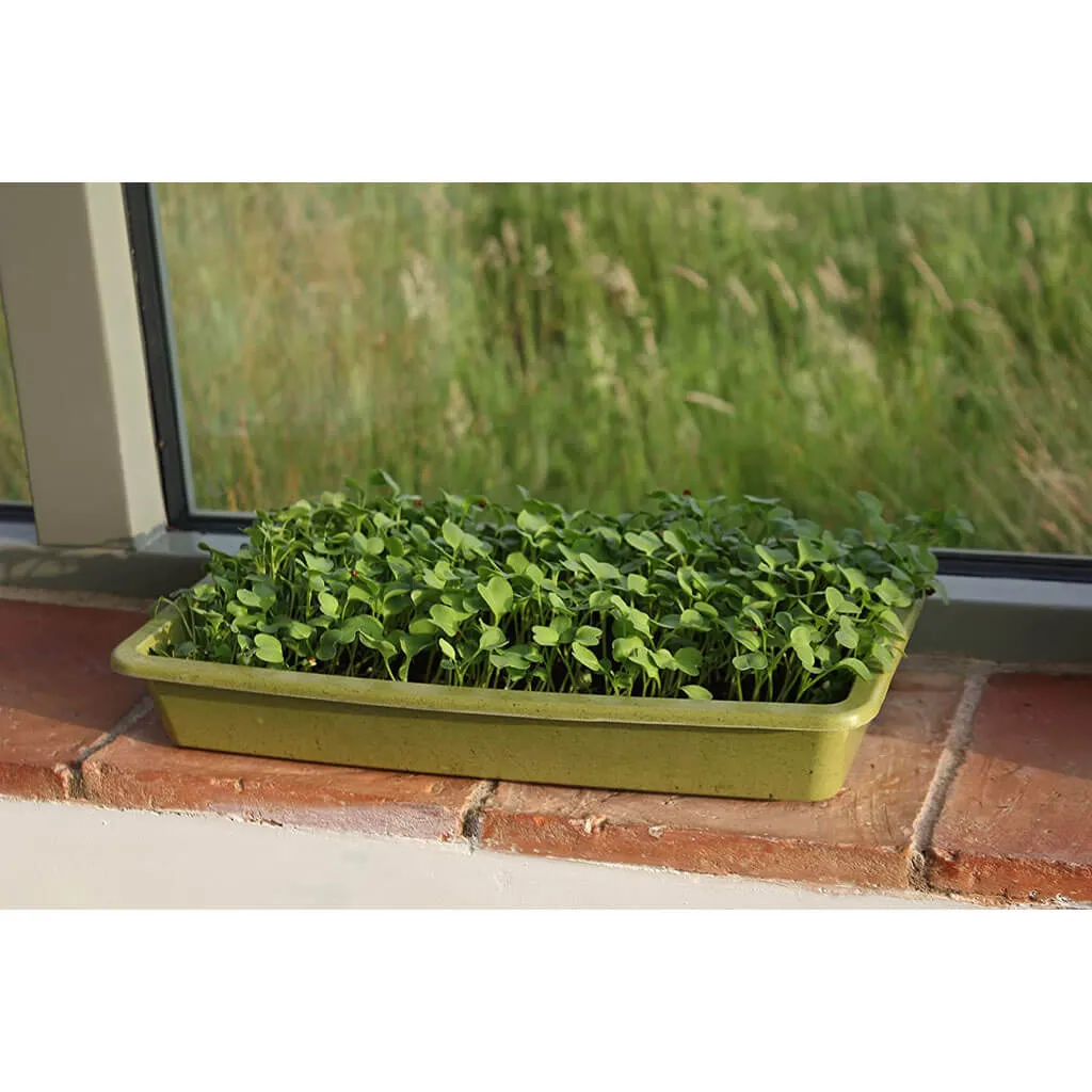 Haxnicks Microgreens Growing Mat (Pack of 3)