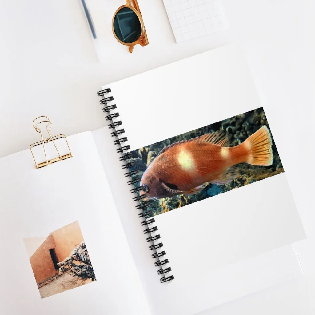 Orange Fish Spiral Notebook - Ruled Line