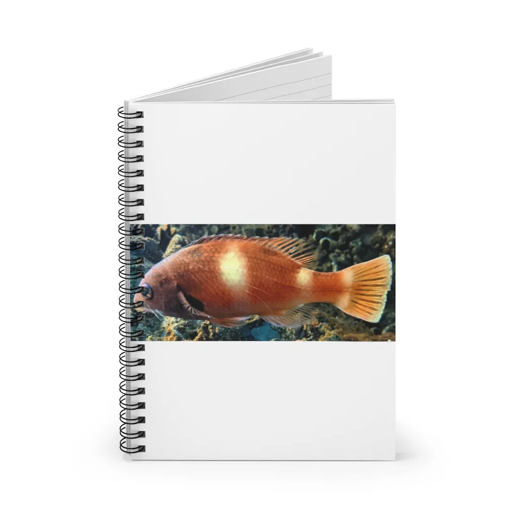 Orange Fish Spiral Notebook - Ruled Line