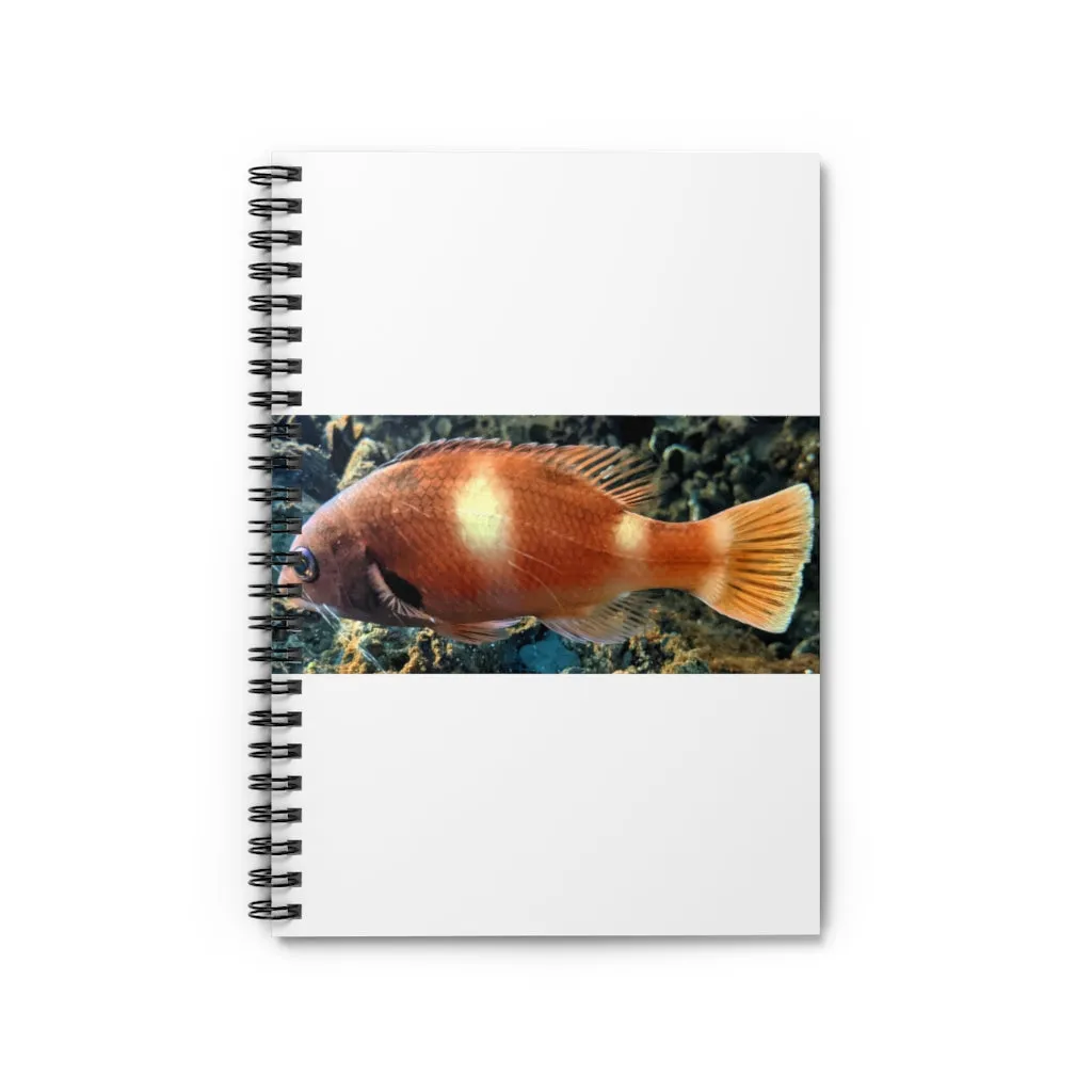 Orange Fish Spiral Notebook - Ruled Line