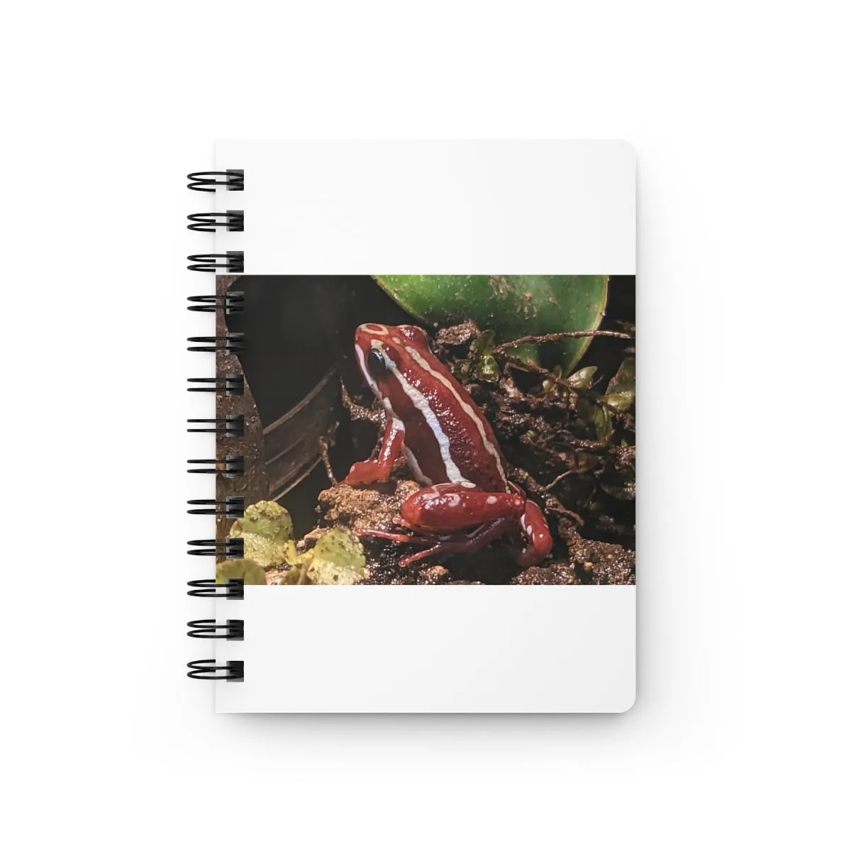 Red Frog Spiral Bound Journal