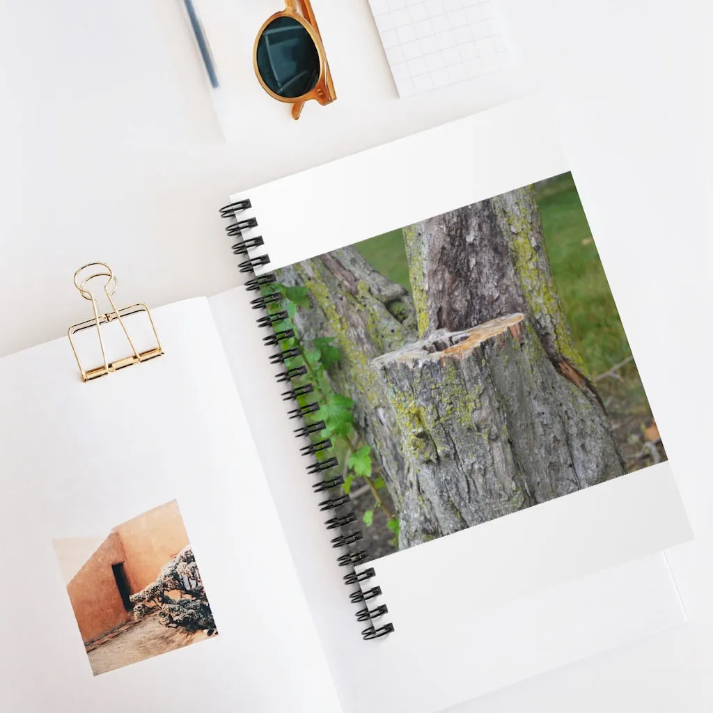 Tree Stump Spiral Notebook - Ruled Line