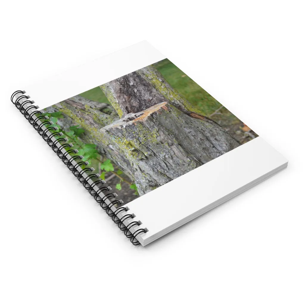 Tree Stump Spiral Notebook - Ruled Line